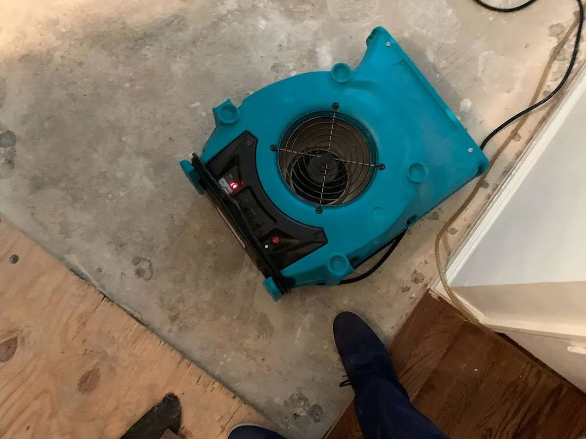 Air mover drying subfloor during Commercial Water Damage Restoration in Arvin